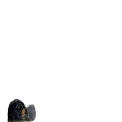 hair, shoes, dress, animal, photorealistic, pixel art, concept art, 3d render transparent PNG cut-out