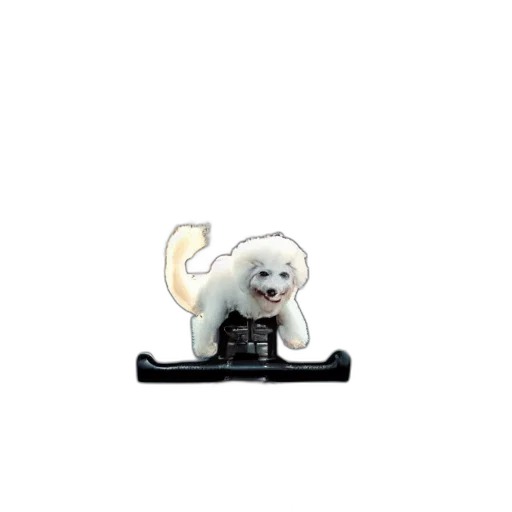 staff, animal, creature, furniture transparent PNG cut-out