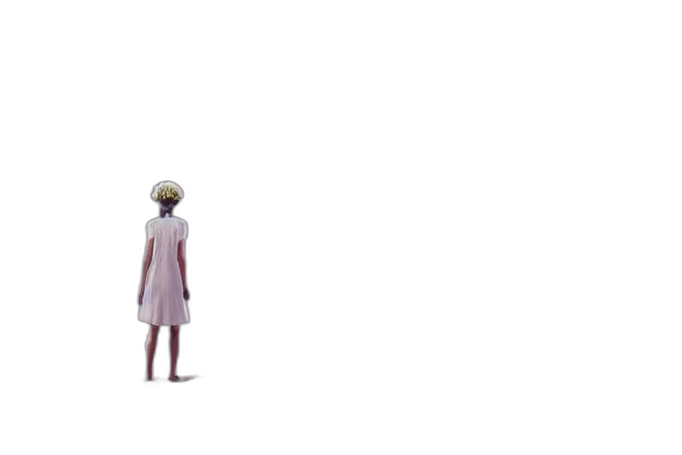 dress, hat, creature, robot transparent PNG cut-out