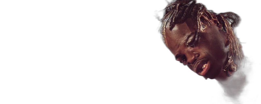 face, crown, photorealistic, travis, scott, intricate, detailed, jaw transparent PNG cut-out