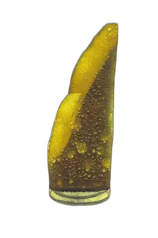 bottle, staff, weapon, crown transparent PNG cut-out