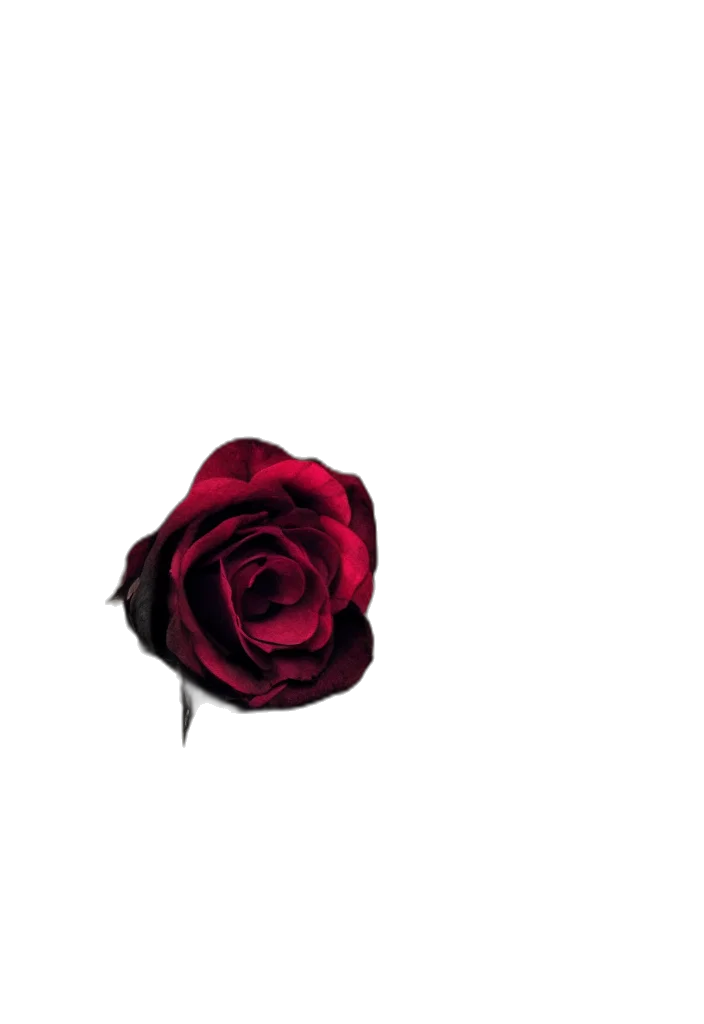 flower, crown, jewelry, weapon, pixel art, 3d render, photorealistic, concept art transparent PNG cut-out