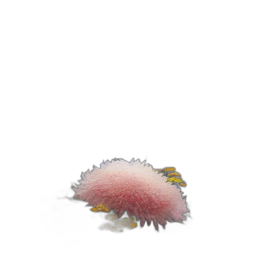 creature, hair, animal, hat transparent PNG cut-out