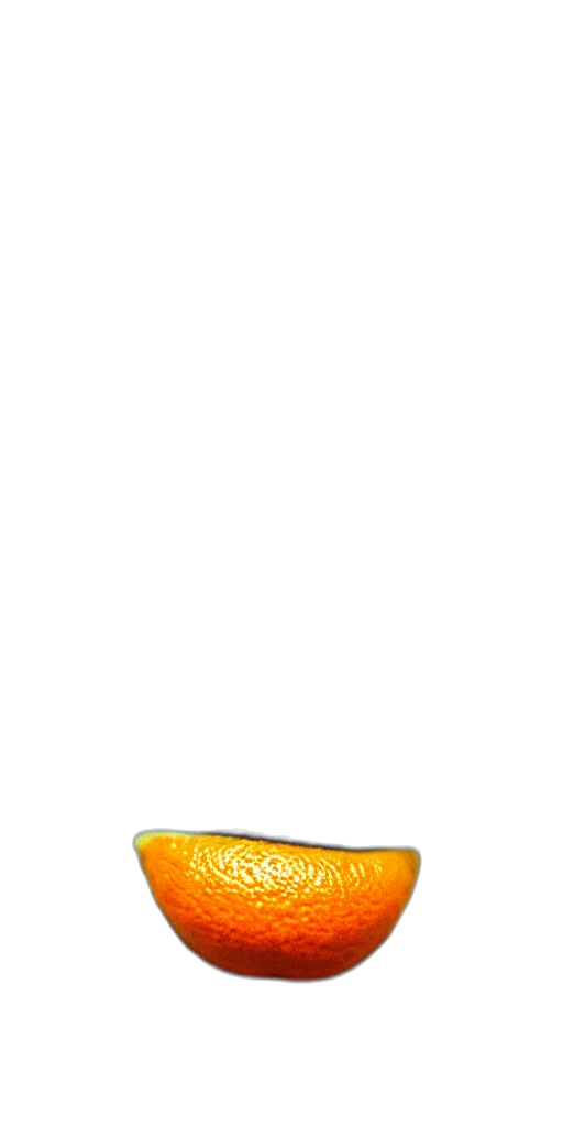 shoes, food, hat, bottle transparent PNG cut-out
