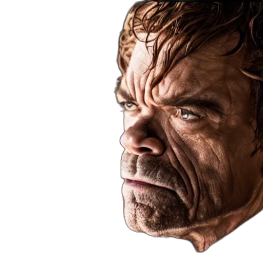 face, mask, hair, animal transparent PNG cut-out