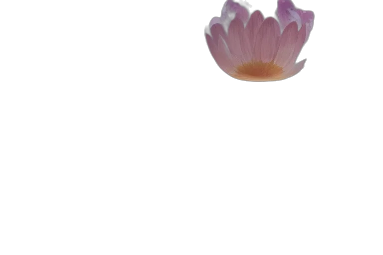 flower, crown, jewelry, mask, 3d render, photorealistic, vaporwave, pixel art transparent PNG cut-out