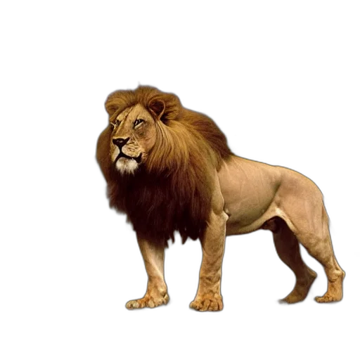 animal, crown, staff, creature transparent PNG cut-out