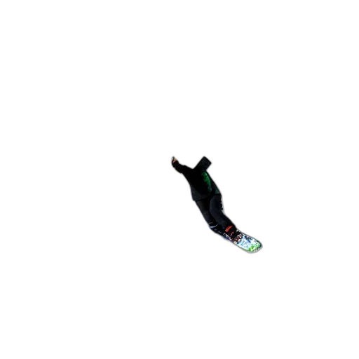 shoes, animal, creature, staff transparent PNG cut-out