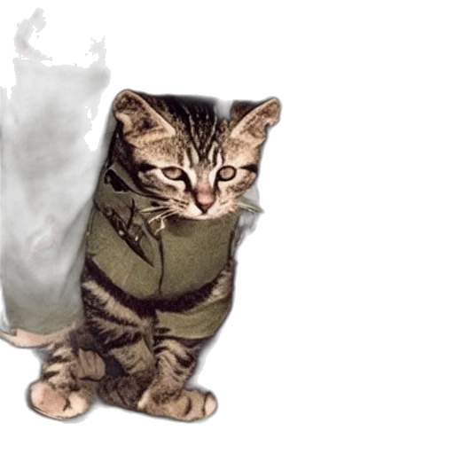 jacket, staff, animal, weapon transparent PNG cut-out