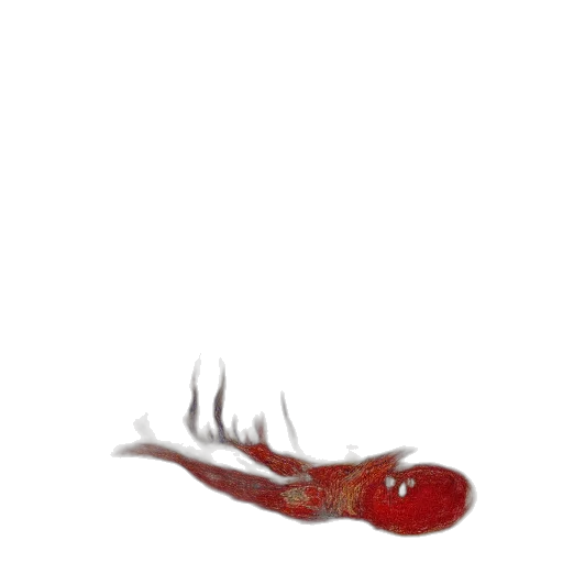 creature, animal, dragon, staff, photorealistic, 3d render, concept art, watercolor transparent PNG cut-out