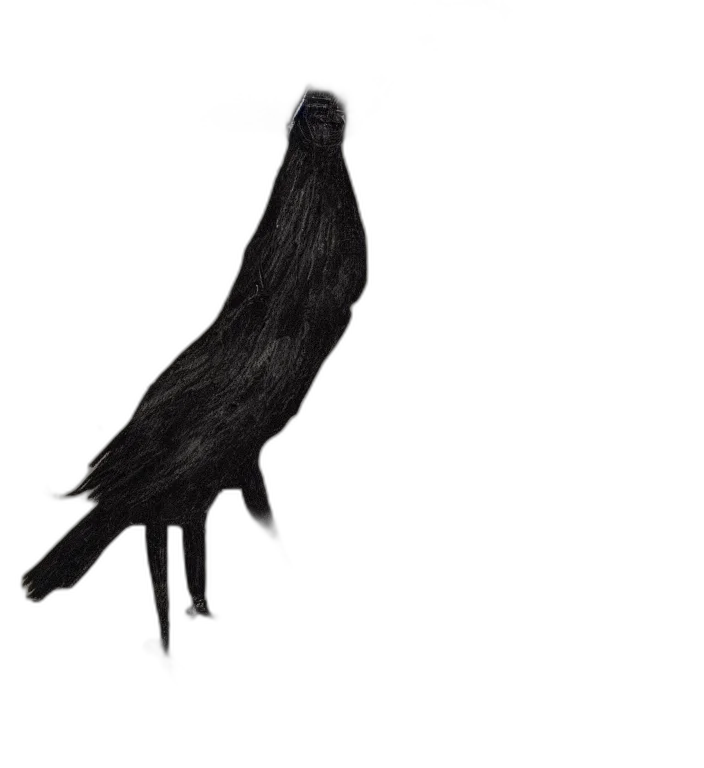 hair, animal, dress, creature, concept art, photorealistic, fantasy art, 3d render transparent PNG cut-out