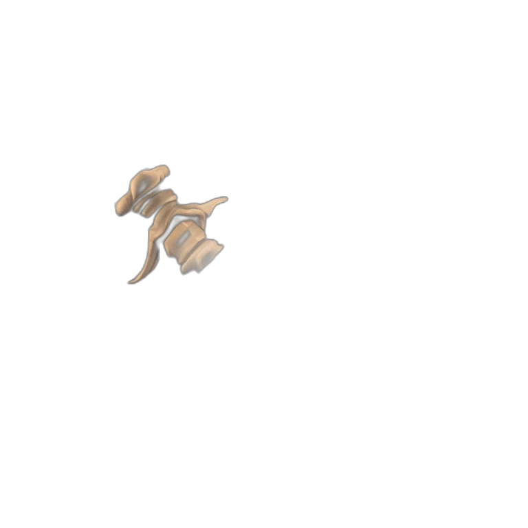 dragon, animal, creature, jewelry transparent PNG cut-out