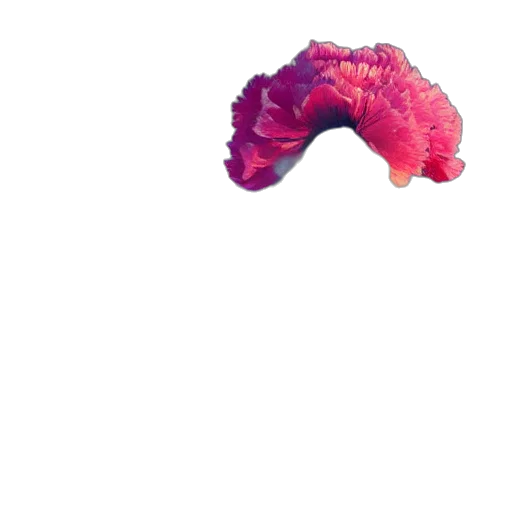 dragon, food, creature, animal transparent PNG cut-out