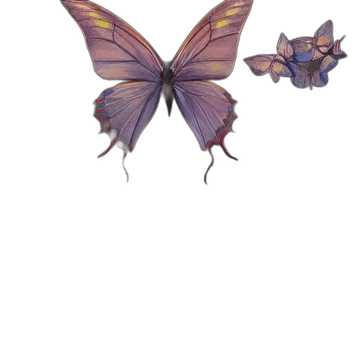 creature, flower, crown, animal transparent PNG cut-out