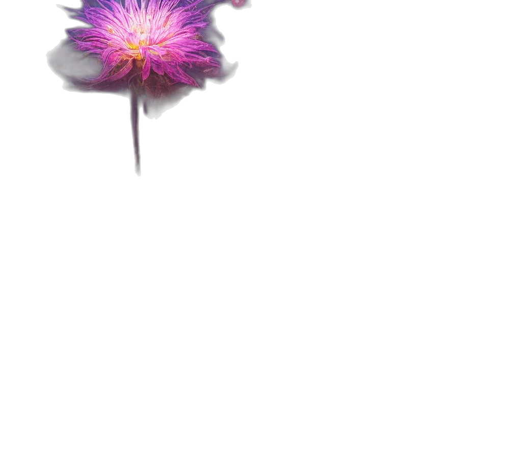 flower, staff, umbrella, weapon transparent PNG cut-out