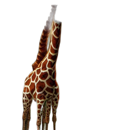 animal, staff, creature, umbrella transparent PNG cut-out