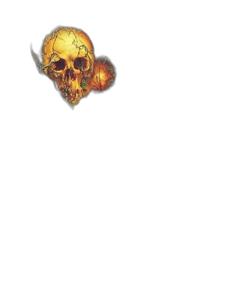 mask, weapon, face, staff transparent PNG cut-out
