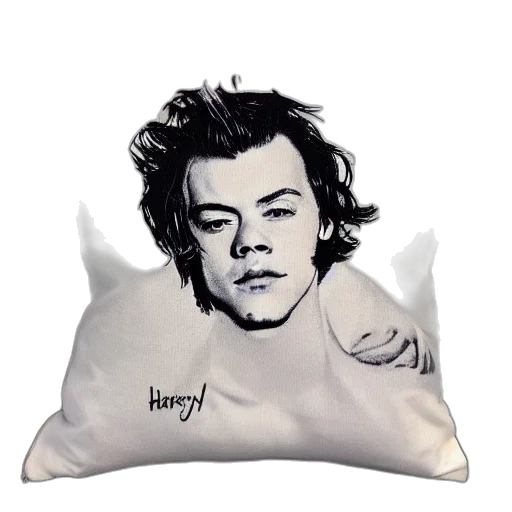 photorealistic, cartoon, harry, styles transparent PNG cut-out