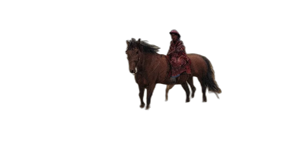 animal, hat, creature, hair transparent PNG cut-out