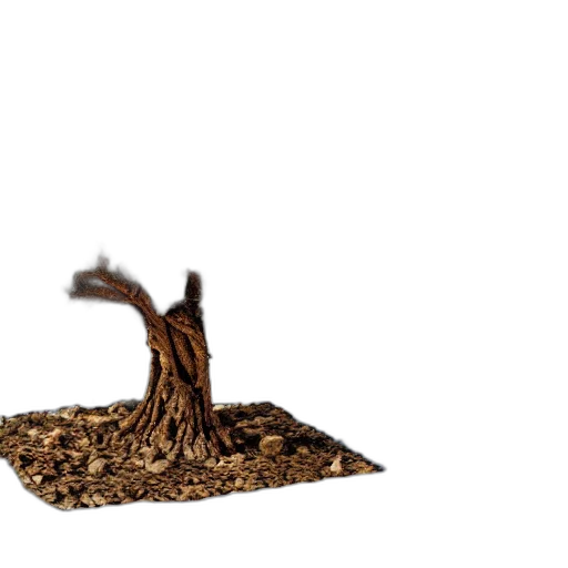 tree, hair, dragon, crown transparent PNG cut-out