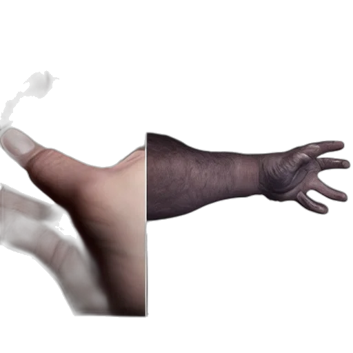 weapon, hair, creature, animal transparent PNG cut-out