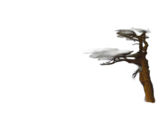 dragon, crown, tree, hair transparent PNG cut-out