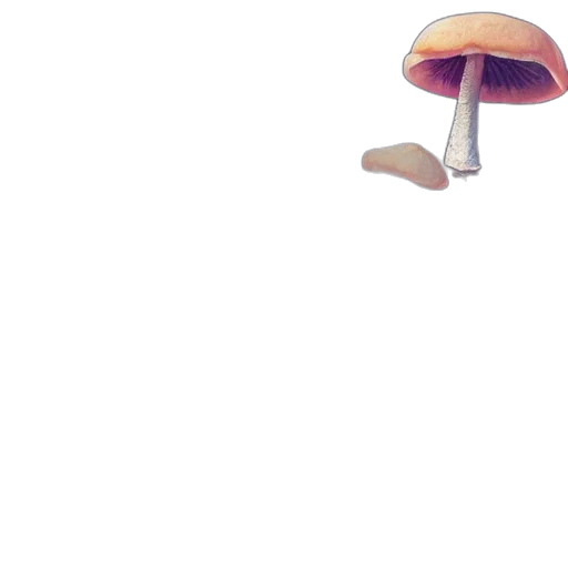 hat, umbrella, furniture, food, 3d render, concept art, pixel art, vaporwave transparent PNG cut-out