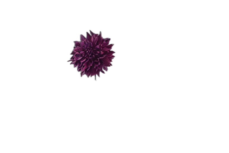 flower, crown, hair, umbrella, 3d render, photorealistic, pixel art, concept art transparent PNG cut-out