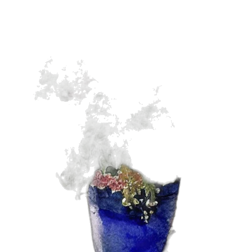crown, mask, bottle, flower transparent PNG cut-out
