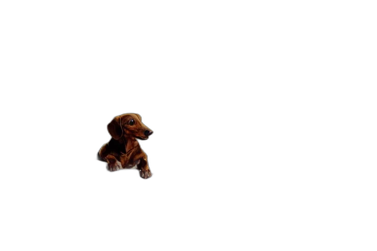 animal, staff, creature, robot transparent PNG cut-out