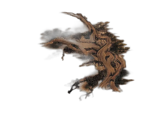 dragon, hair, tree, crown transparent PNG cut-out