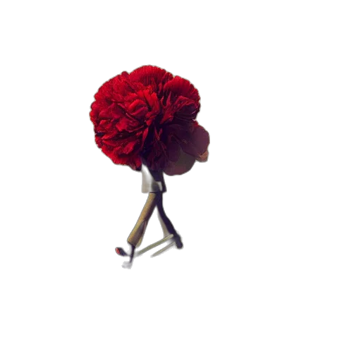 flower, umbrella, staff, crown transparent PNG cut-out
