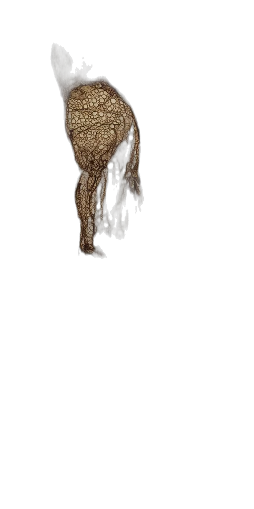 dress, hair, staff, hat transparent PNG cut-out