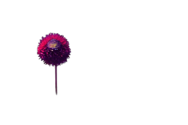 flower, umbrella, staff, crown, 3d render, photorealistic, pixel art, concept art transparent PNG cut-out