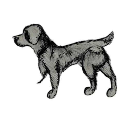 staff, animal, creature, jewelry transparent PNG cut-out
