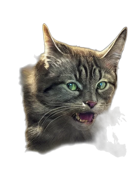 animal, creature, face, staff transparent PNG cut-out