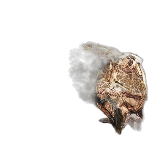 dragon, mask, hair, jacket transparent PNG cut-out