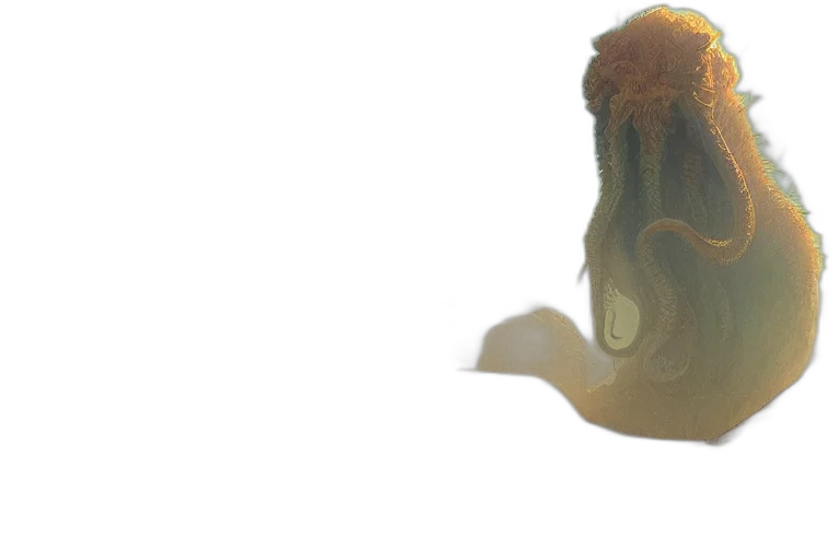 hair, bottle, mask, hat, 3d render, photorealistic, concept art, underwater transparent PNG cut-out