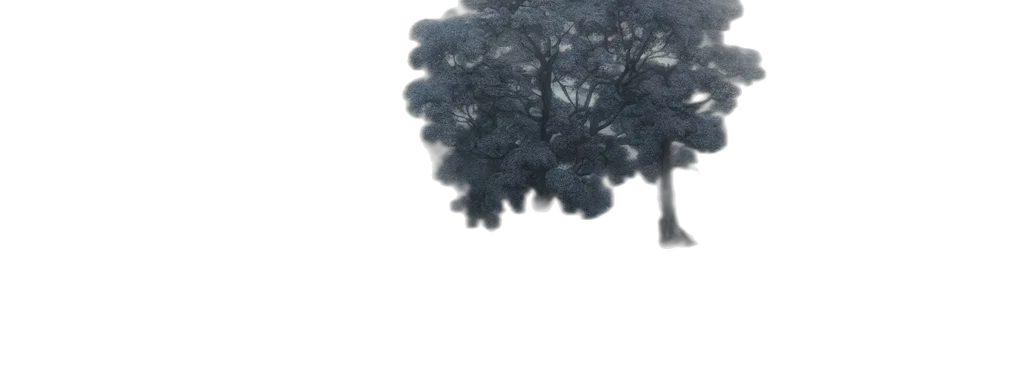 tree, umbrella, dress, hat transparent PNG cut-out