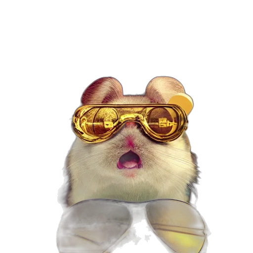 animal, concept art, 3d render, cartoon, photorealistic, golden, goldhamster, sunglasses transparent PNG cut-out