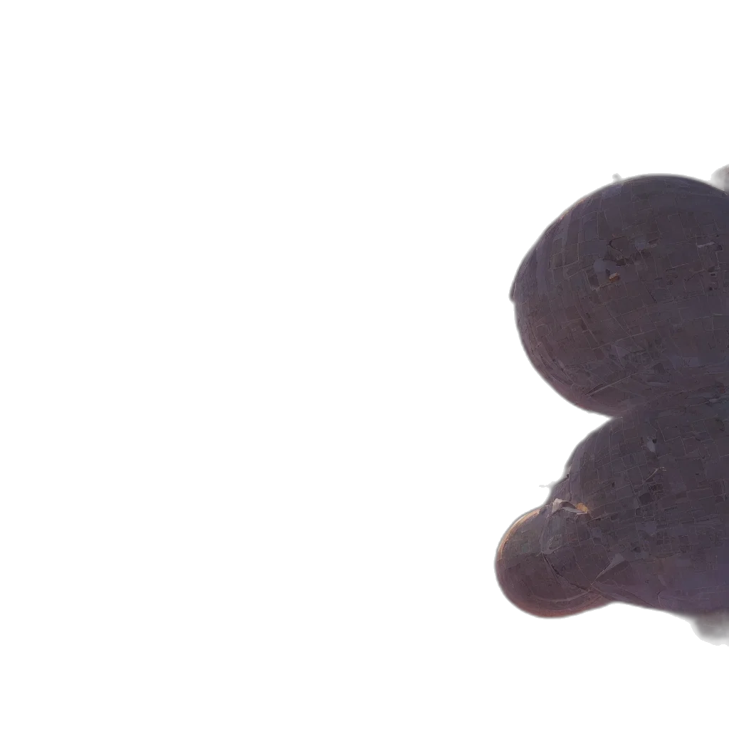 food, crown, hat, face transparent PNG cut-out