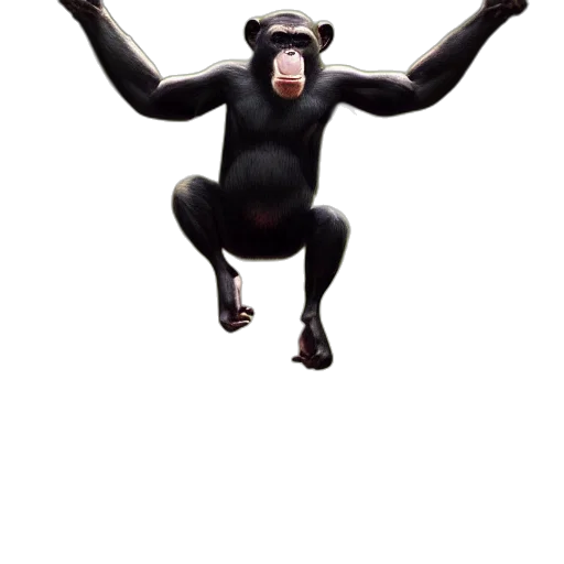 animal, creature, mask, robot transparent PNG cut-out