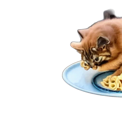 food, animal, creature, concept art transparent PNG cut-out