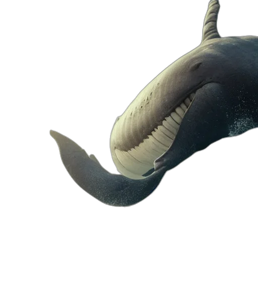 animal, creature, hat, dragon, 3d render, concept art, photorealistic, underwater transparent PNG cut-out