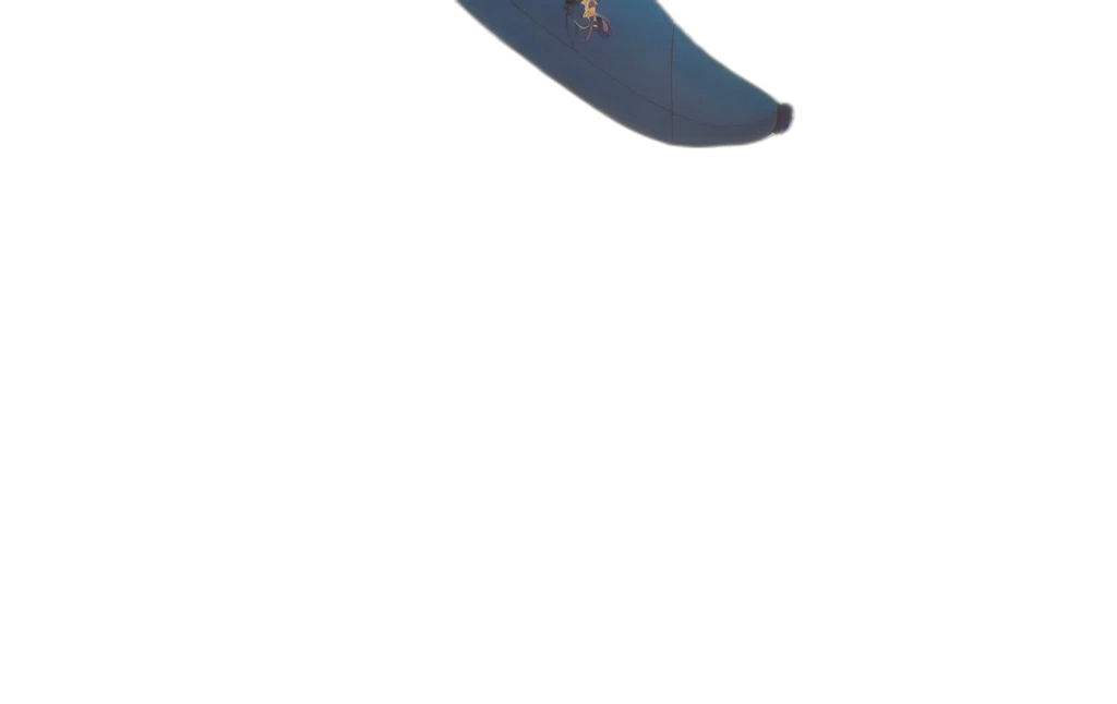 shoes, hat, umbrella, staff transparent PNG cut-out