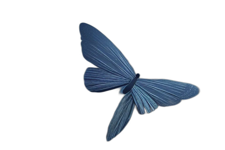 umbrella, animal, jewelry, flower transparent PNG cut-out