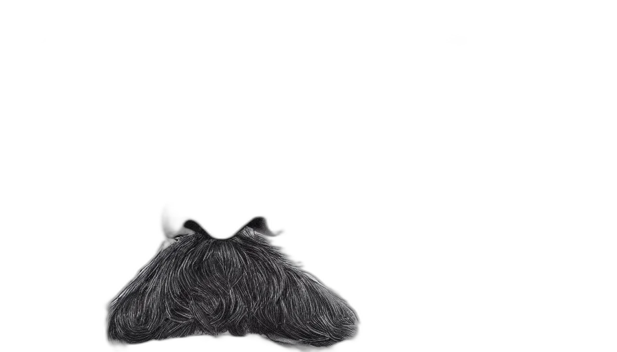 hat, hair, crown, animal, photorealistic, concept art, tom, selleck transparent PNG cut-out