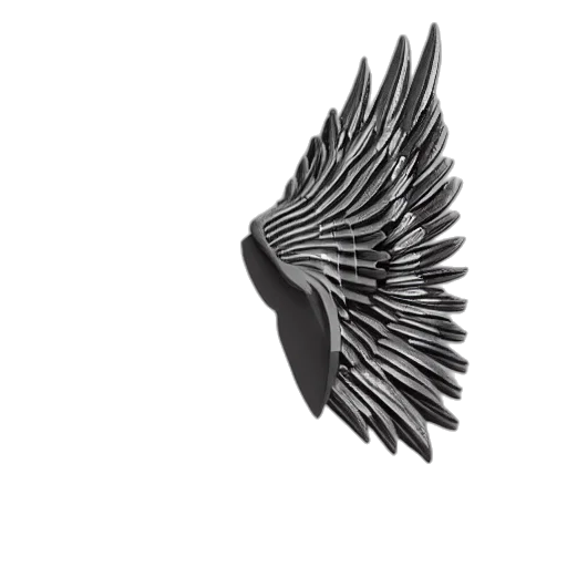 crown, jewelry, hair, animal transparent PNG cut-out