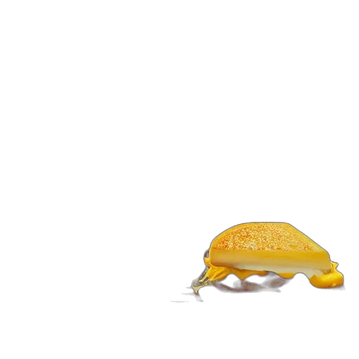 food, hat, animal, jewelry transparent PNG cut-out