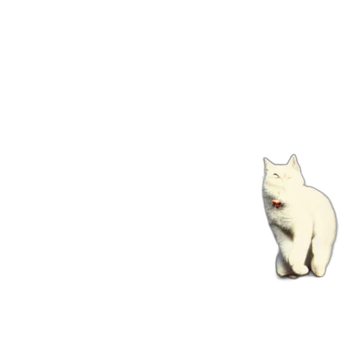 animal, creature, staff, robot transparent PNG cut-out